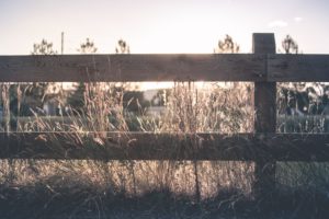 Why Are We So Divided Featured Image Photo by Nick Tiemeyer on Unsplash